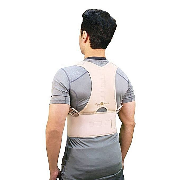 Back Support Belt