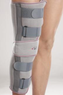 Knee Immobilizer 19?