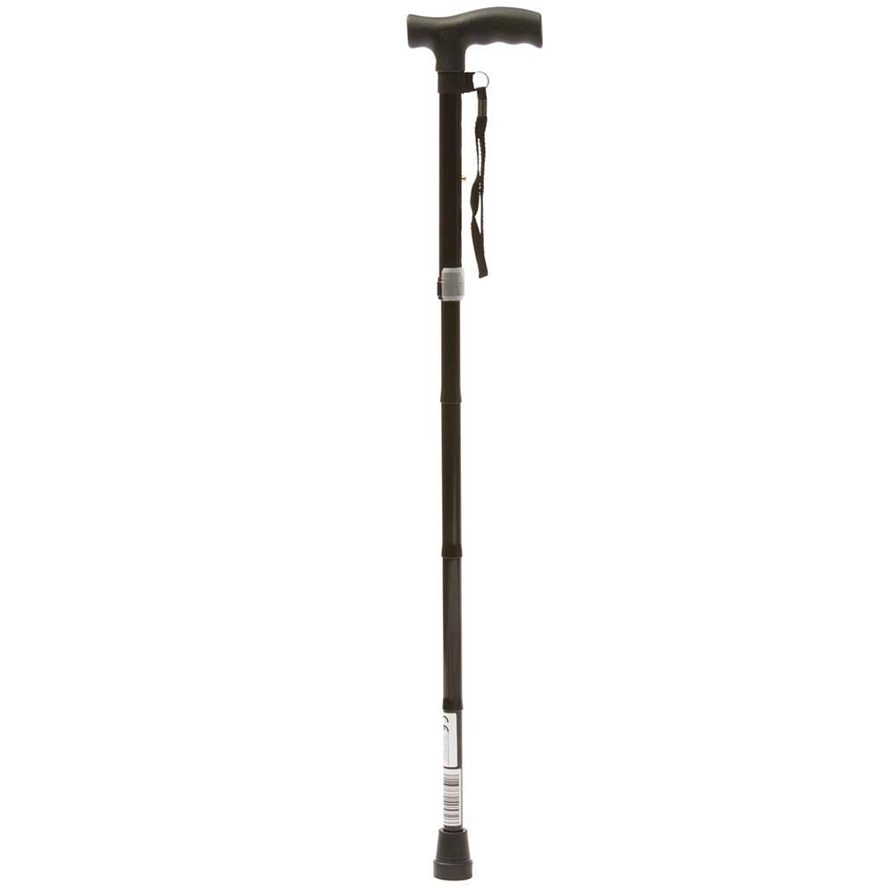 Walking Stick 